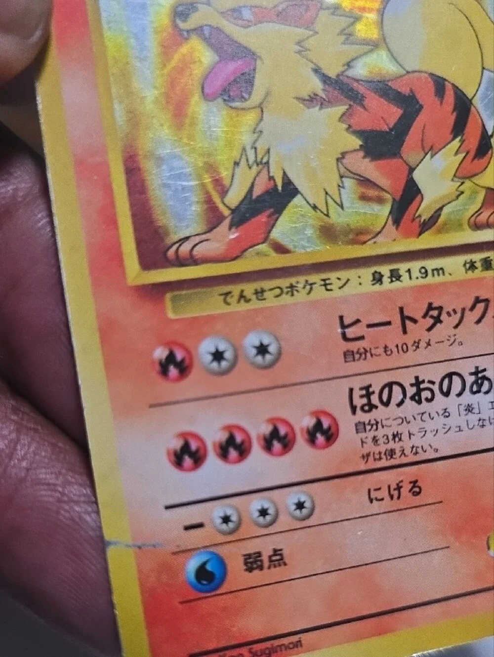 Pokemon Arcanine Holographic Yellow Orange Red Card